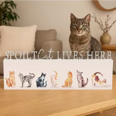 THE WILDLIFE
