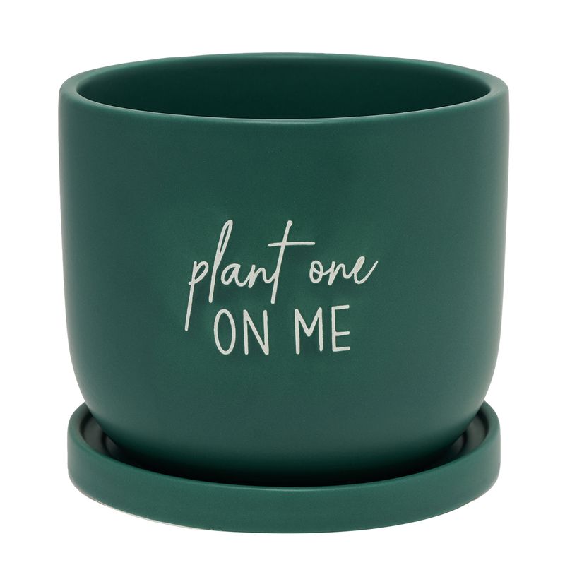 Country Living Ceramic Plant Pot - "Plant One On Me"