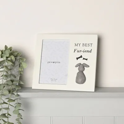 Best of Breed Framed Plaque - "Life Is Better with a Dog"