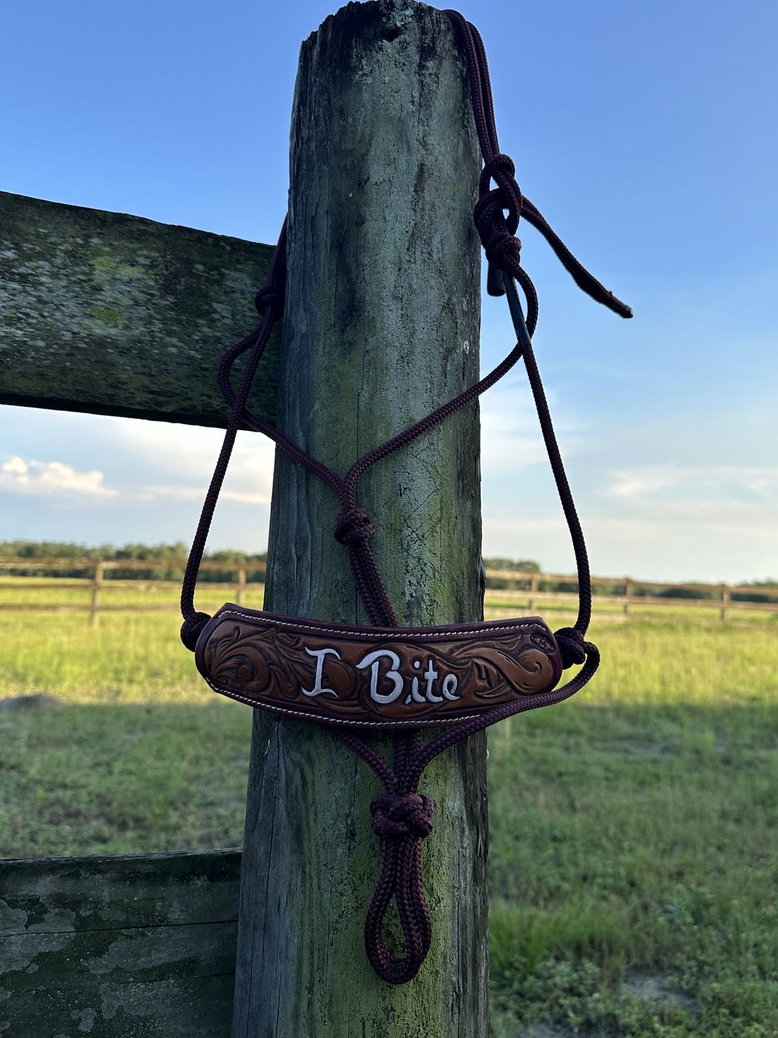 Hand Tooled Leather Nose Band/Rope Halter