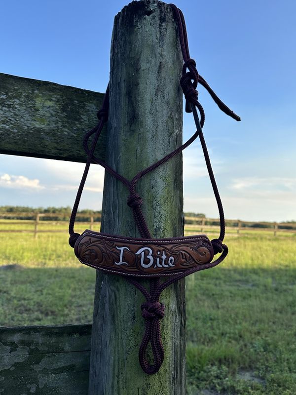 Hand Tooled Leather Nose Band/Rope Halter