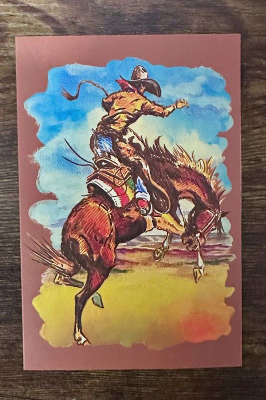 Wild Ride Stationary (cards)