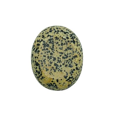 Dalmatian Jasper Sphere Stand Oval (3cm cradle)
