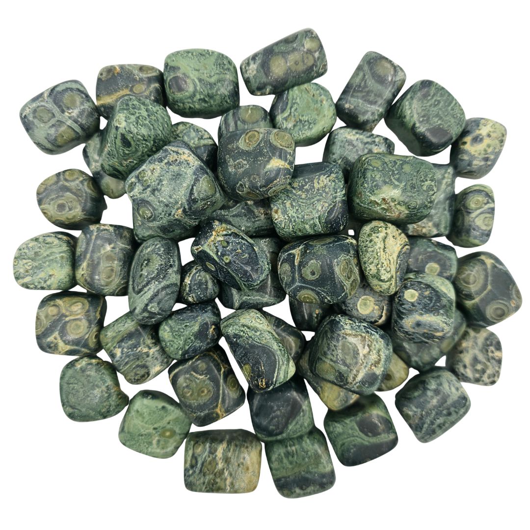 Kambaba Jasper Tumbled Gemstone Medium  - Pack of 10
