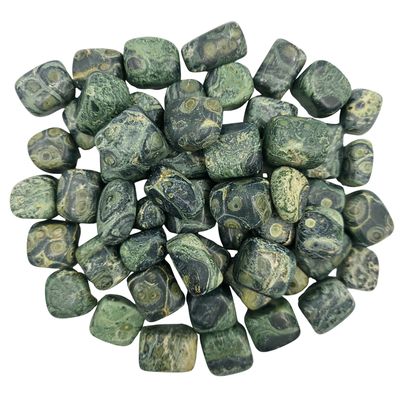 Kambaba Jasper Tumbled Gemstone Medium  - Pack of 10