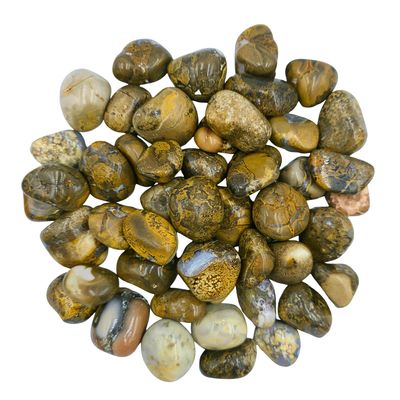 Leopard Skin Jasper Tumbled Gemstone Medium - Pack of 10