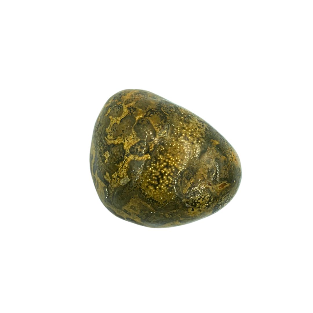 Leopard Skin Jasper Tumbled Gemstone Medium - Single