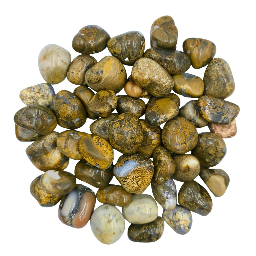 Leopard Skin Jasper Tumbled Gemstone Small - Pack of 10