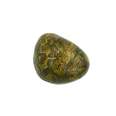 Leopard Skin Jasper Tumbled Gemstone Small - Single