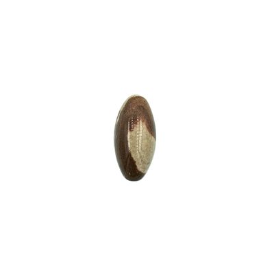 Shiva Lingam Stone Ellipsoid (50g)