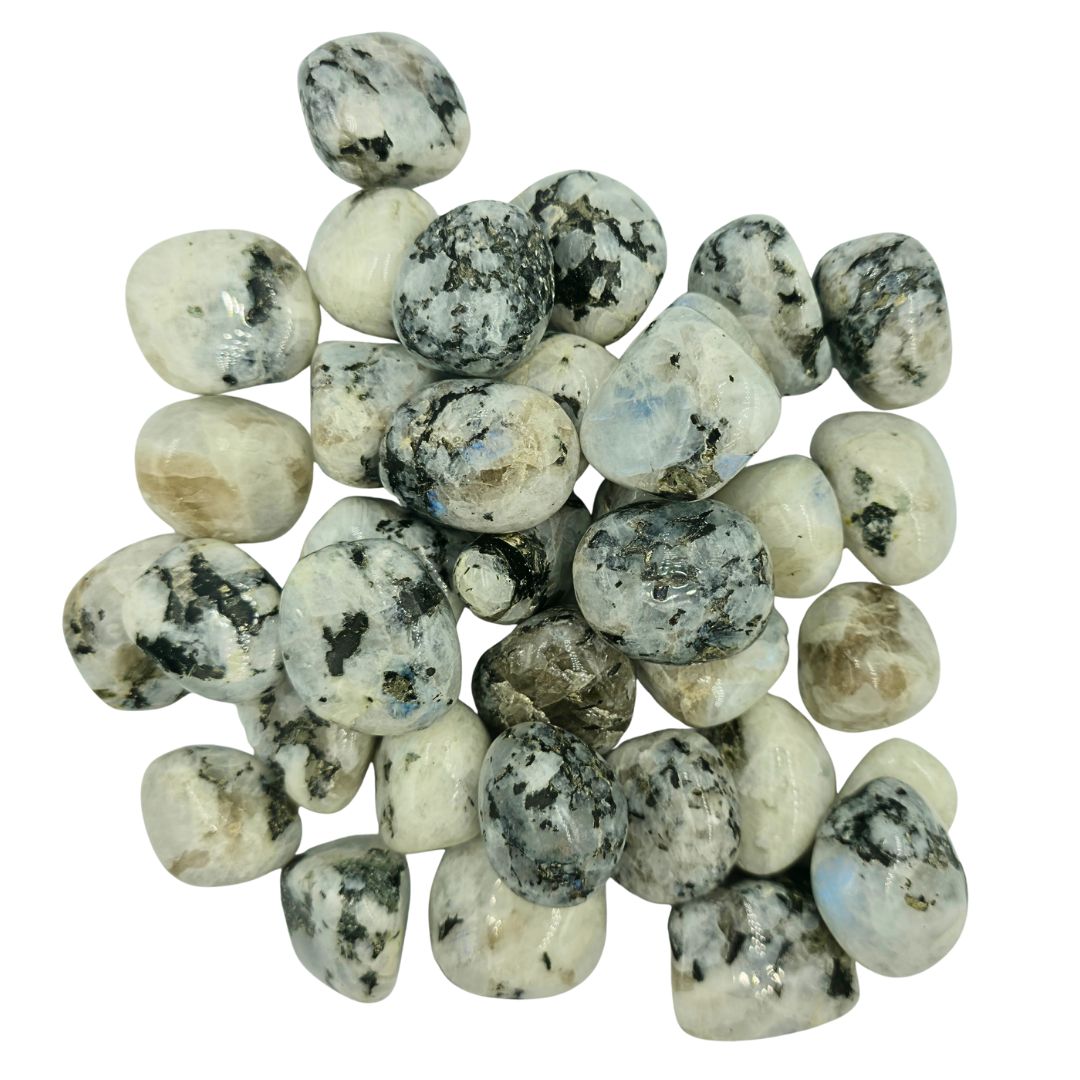 Rainbow Moonstone Tumbled Gemstone Medium  - Pack of 10