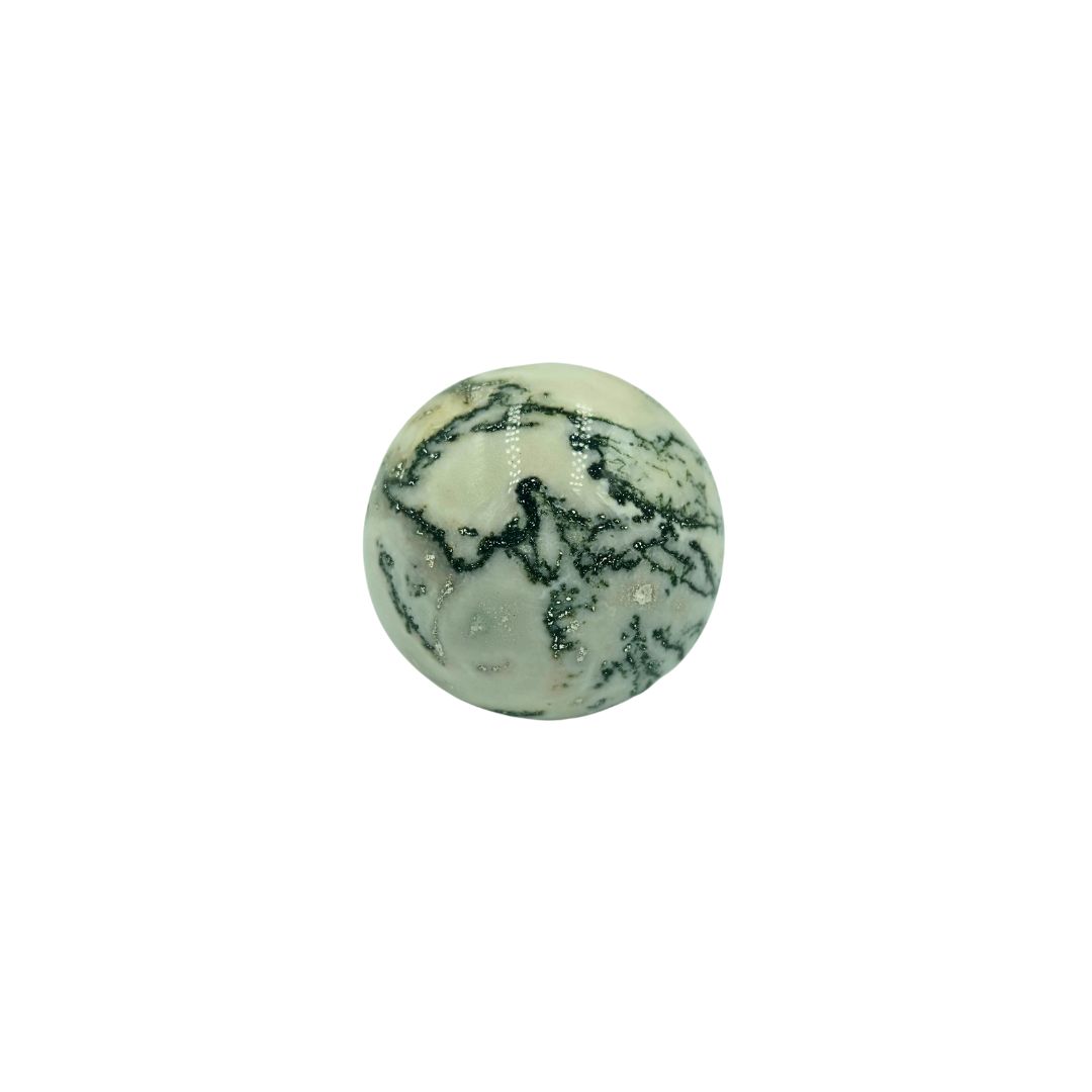 Tree Agate Sphere (170g)