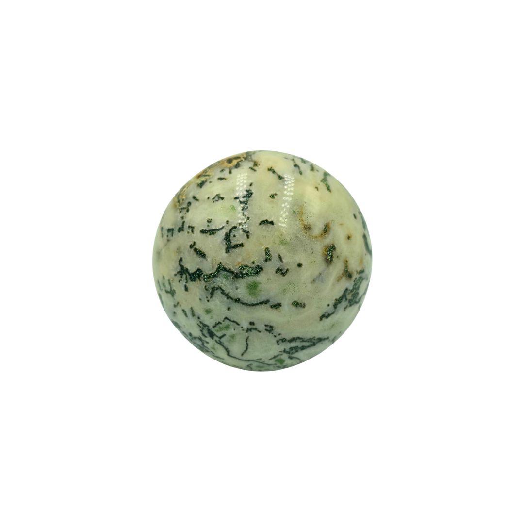 Tree Agate Sphere (370g)