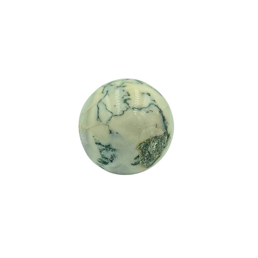 Tree Agate Sphere (270g)