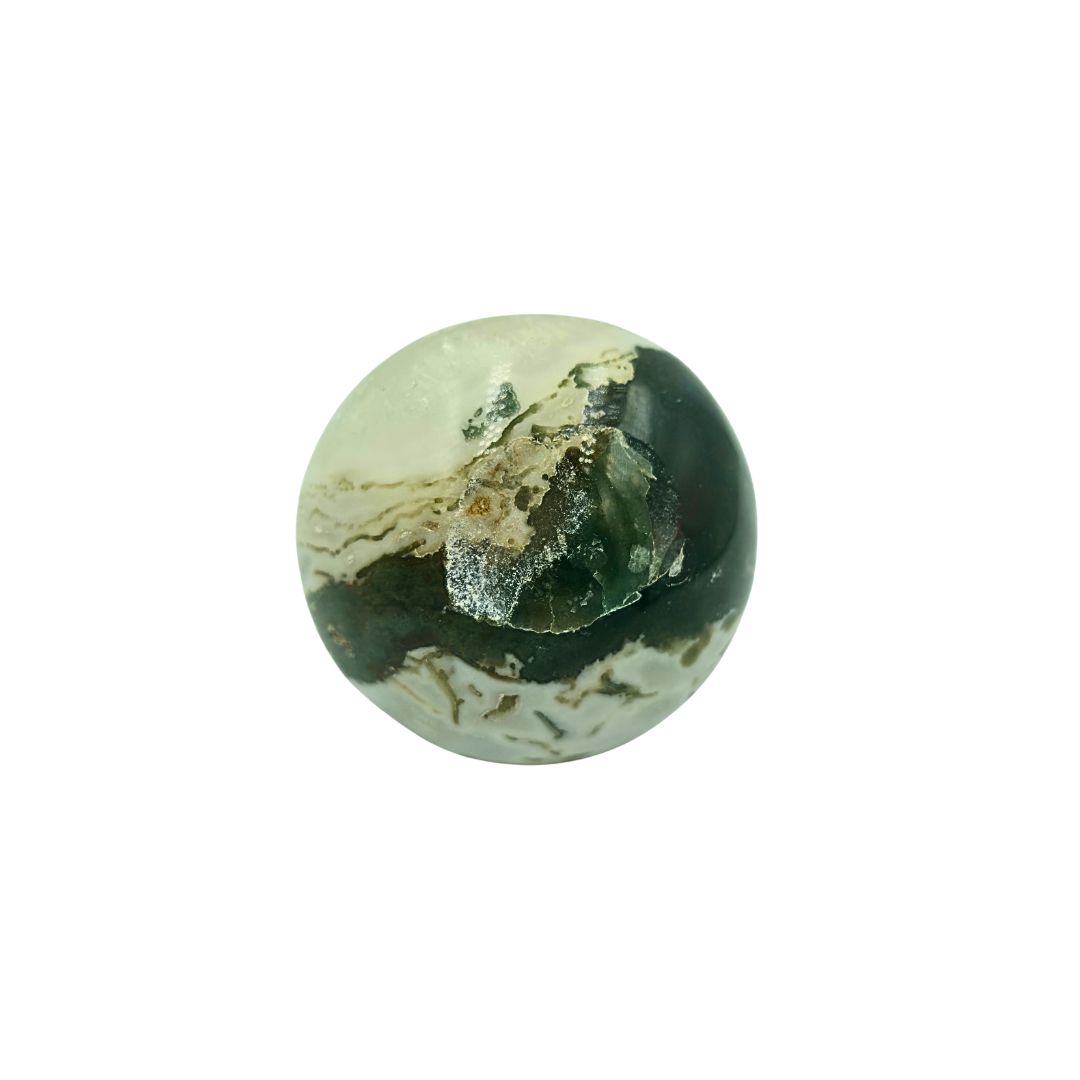 Tree Agate Sphere (300g)