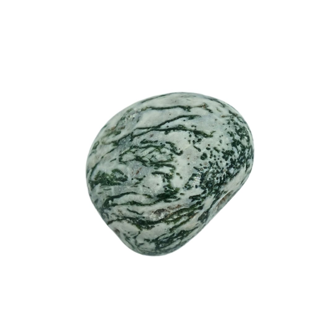 Tree Agate Tumbled Gemstone Small - Single