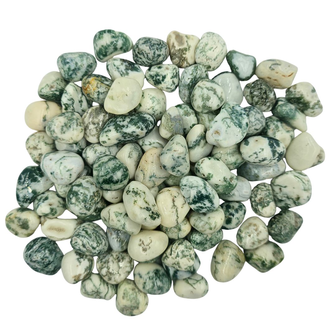 Tree Agate Tumbled Gemstone Small - Pack of 10