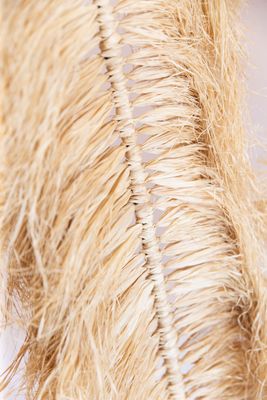 Raffia Palm Leaf on Bamboo Stick