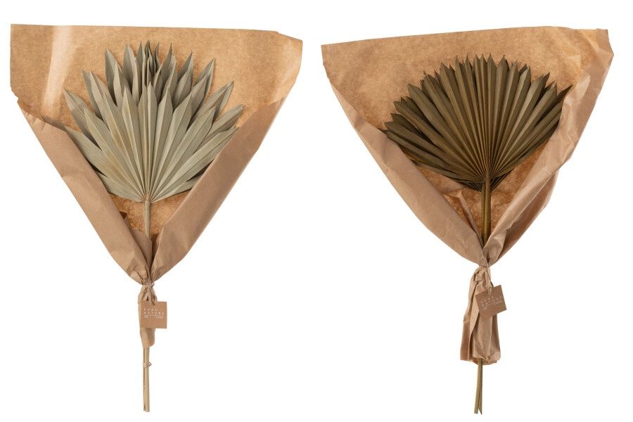 Short Palm Leaf Set Of 3