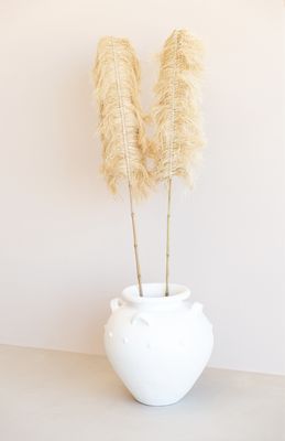 Raffia Palm Leaf on Bamboo Stick