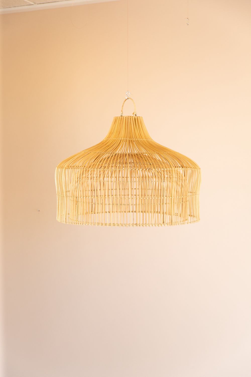 Hanging Dome Light Shade