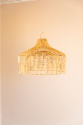 Hanging Dome Light Shade