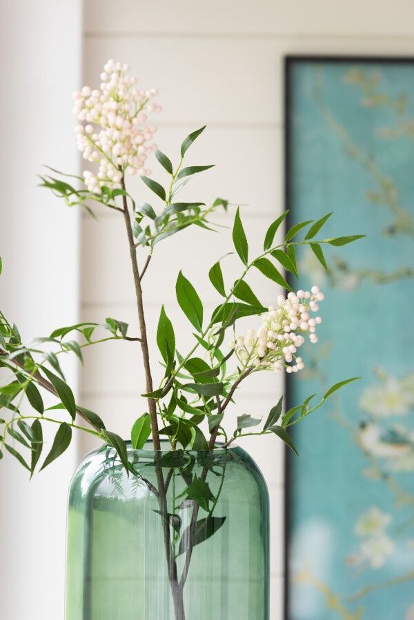 Berry Branch