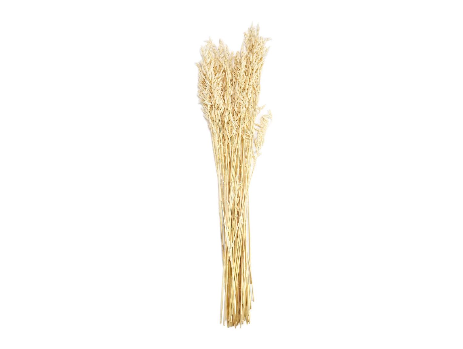 Grain