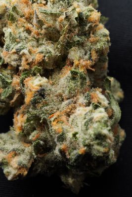 Sour lemon OG AAAAA+