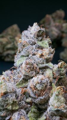 Rockstar tuna AAAA