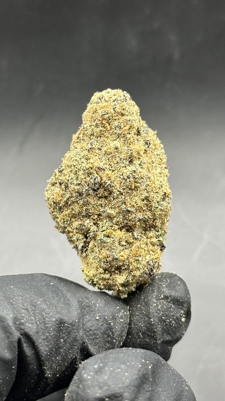 Mercy fruit 10$ 1g