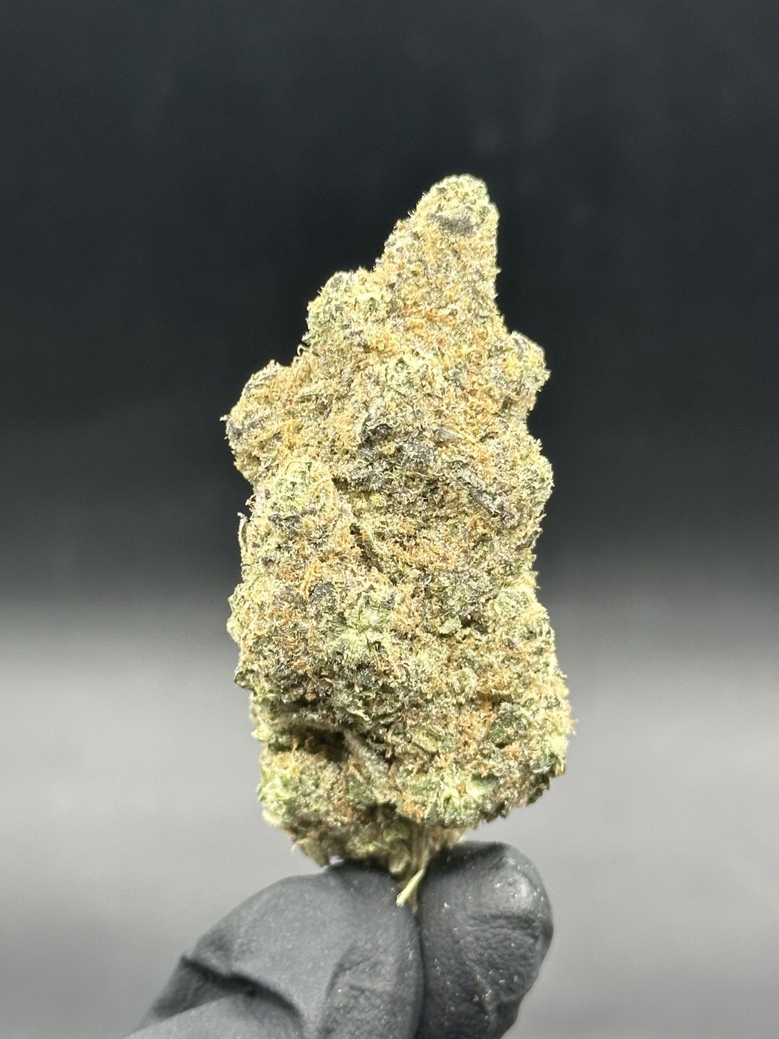 Apples and bananas 7$ 1g