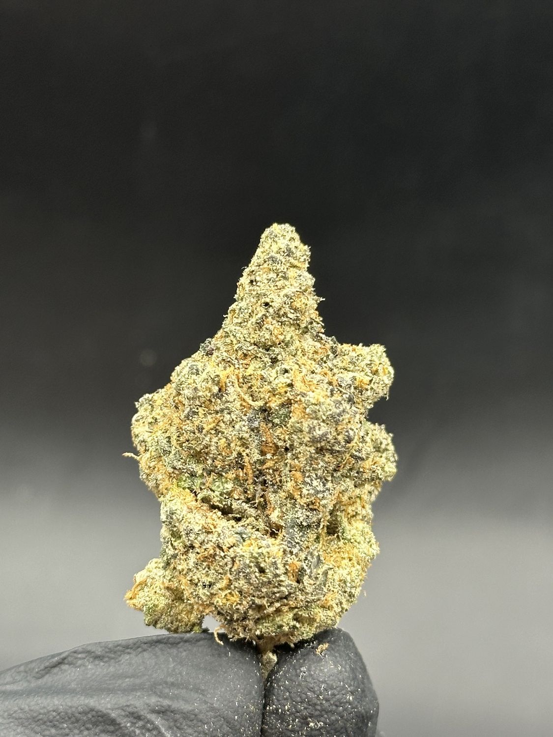 Banana envy 6$ 1oz