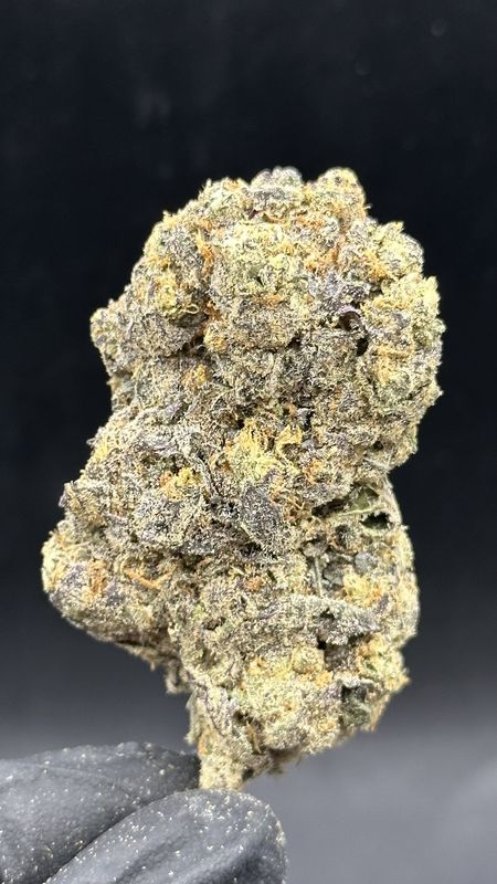 Lazer bomb 10$ 1oz