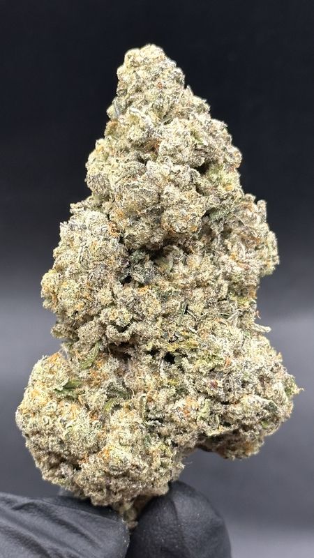 Merlins tonic 6$ 1oz