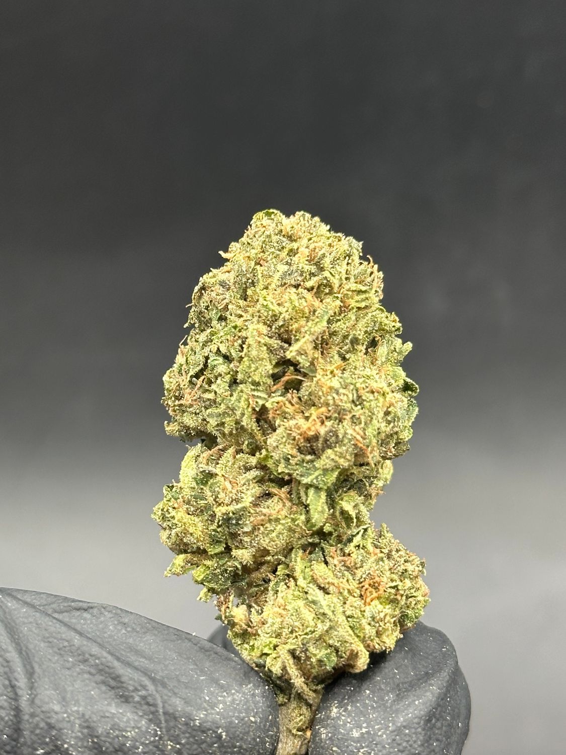 Pink tuna 5$ 14g