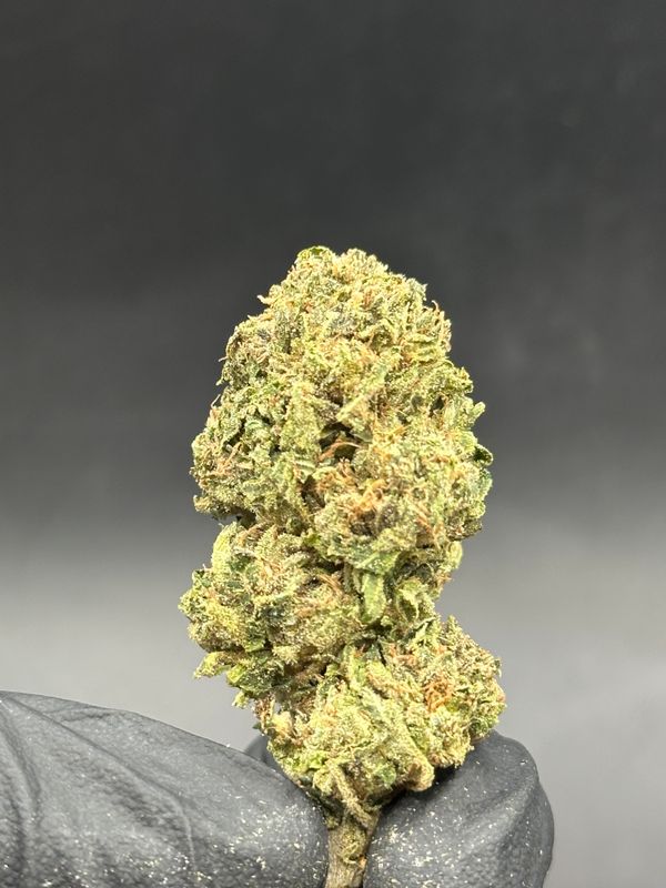 Pink tuna 5$ 14g