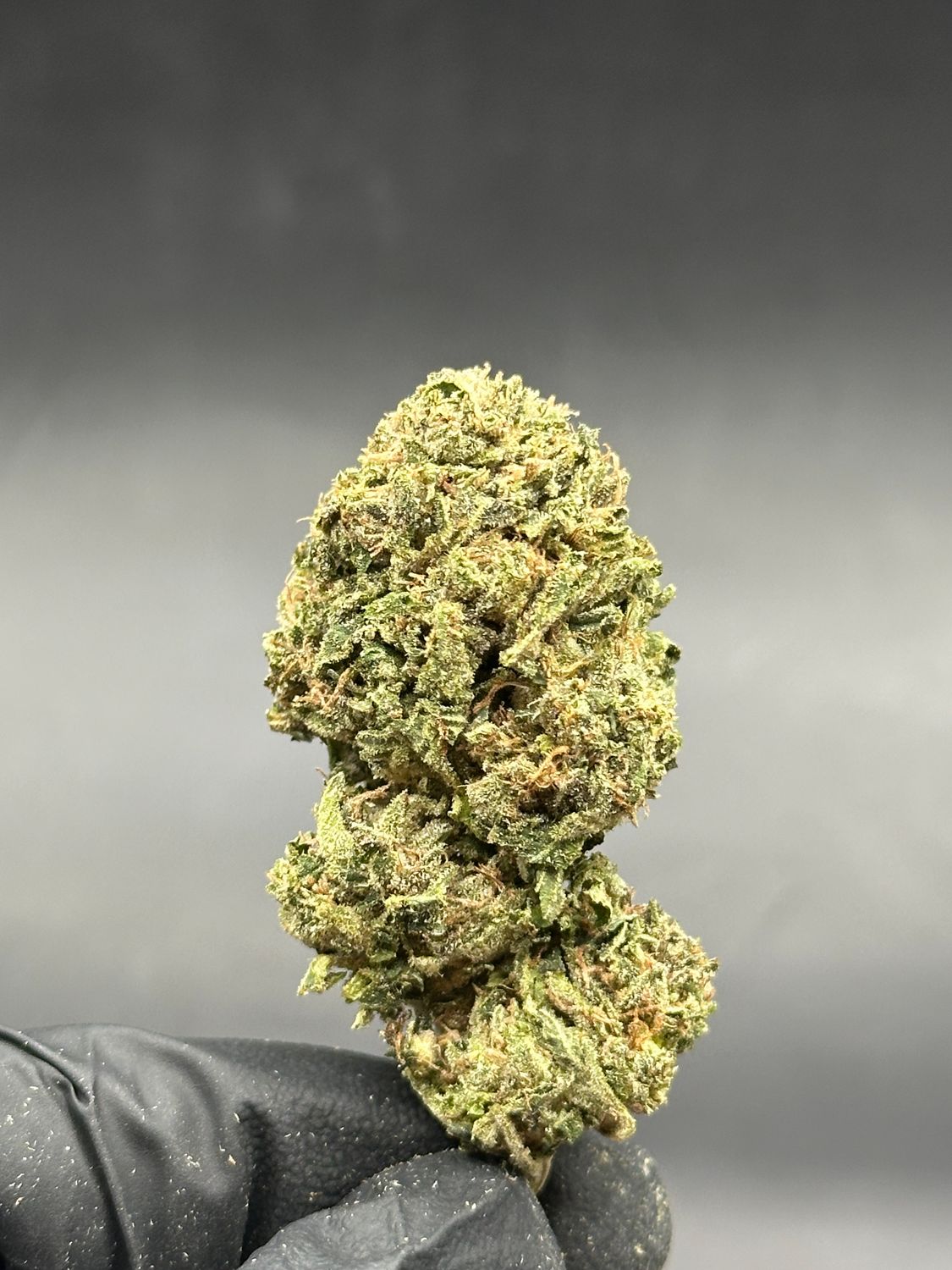 Pink tuna 5$ 1g
