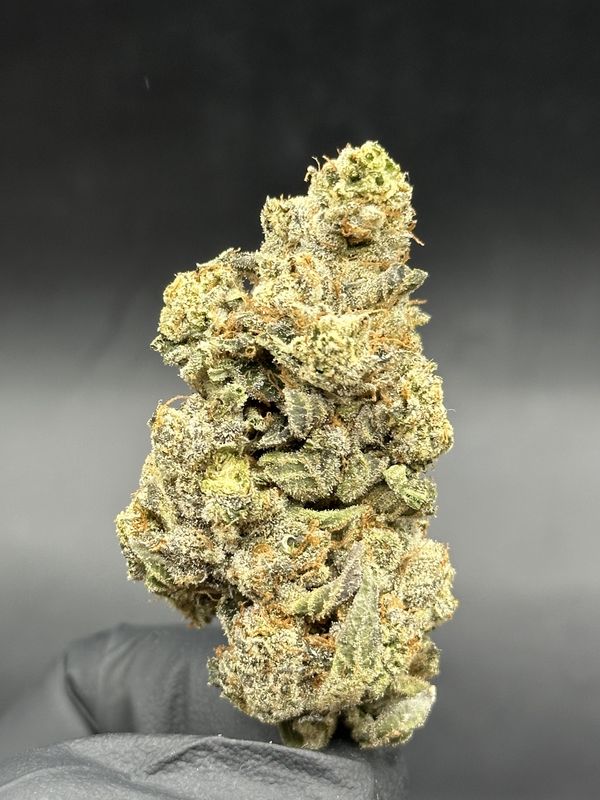 Freshwater biscotti 7$ 3.5g