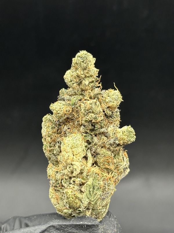 Omega Pink 6$ 7g