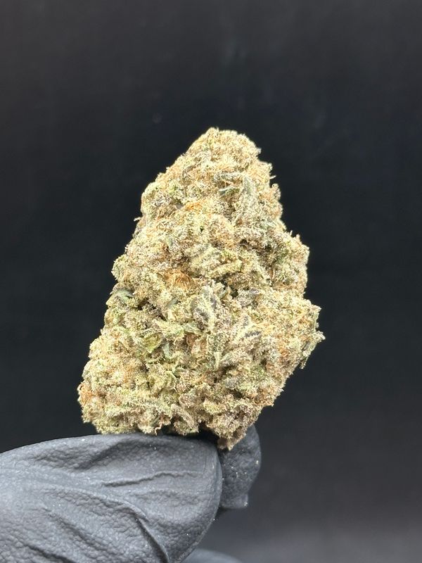 White truffle 5$ 14g