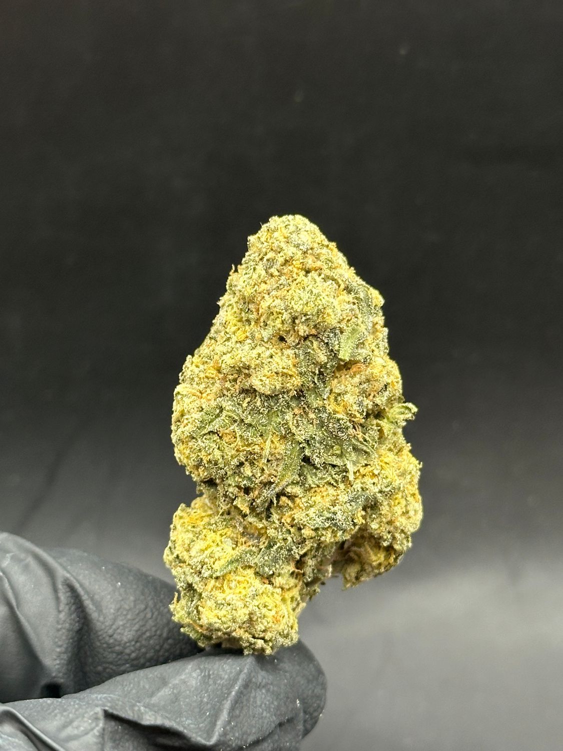 Blue sharpie 5$ 7g
