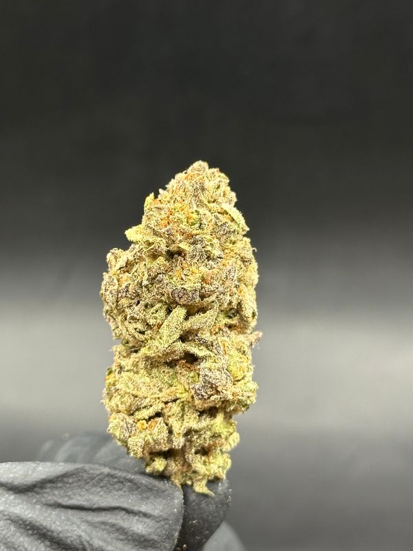 Dante's inferno 5$ 14g