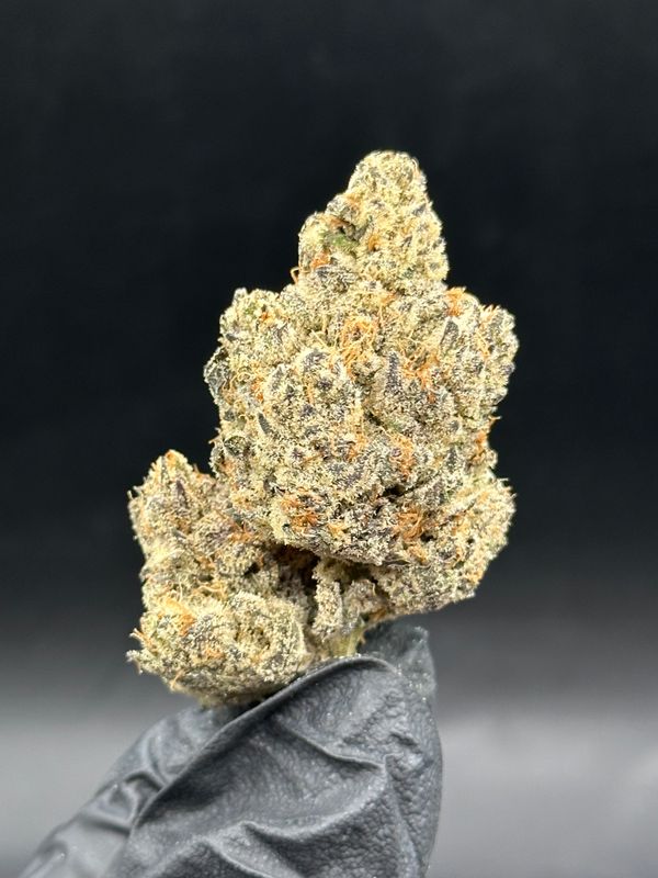 Dope show 10$ 7g