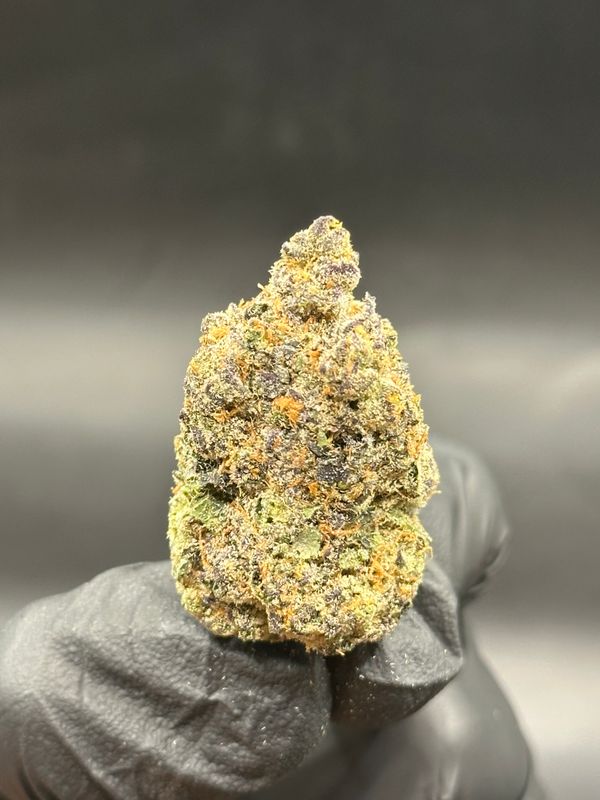 Rhinestone cowboy 10$ 1oz