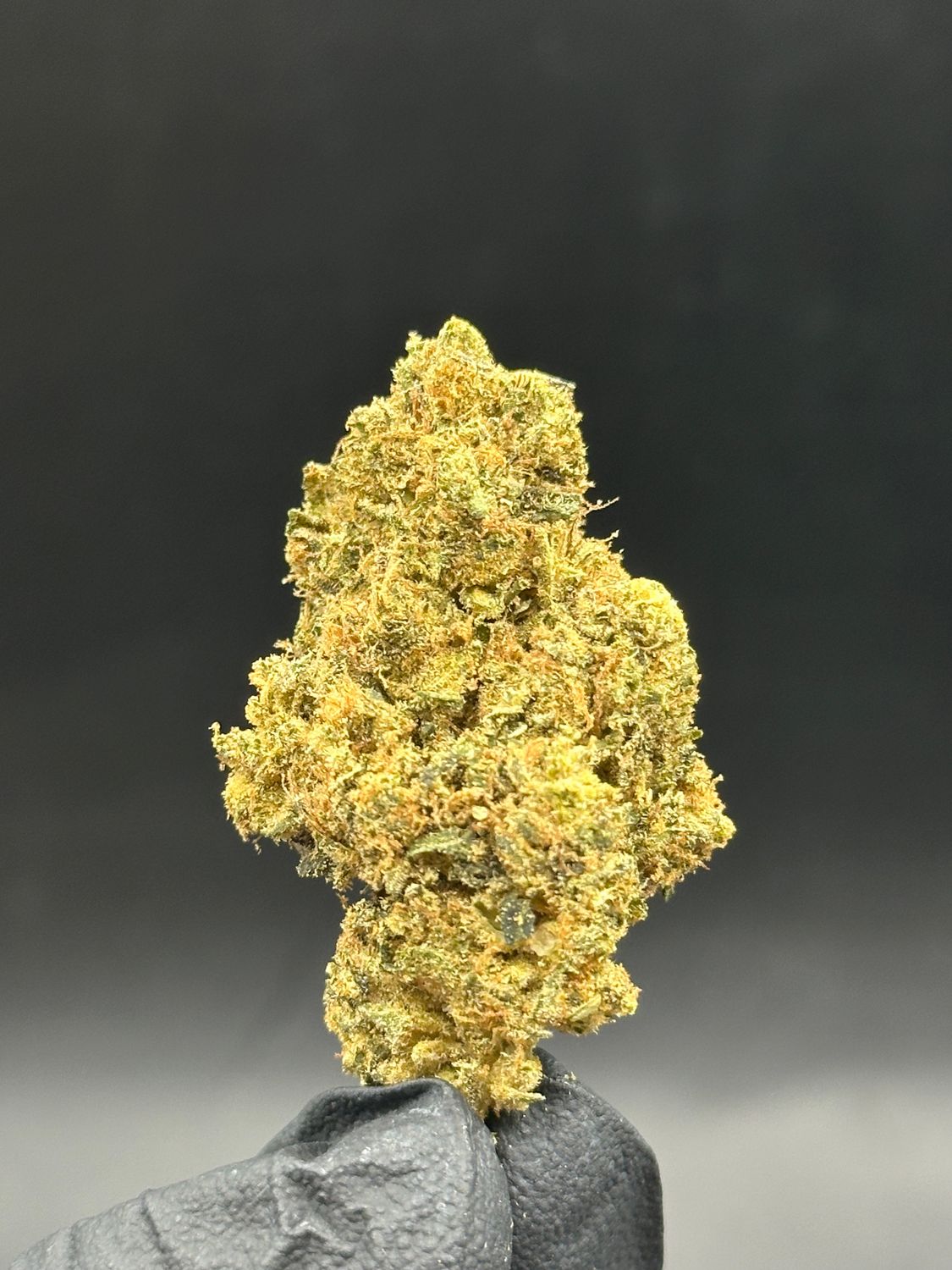 Black triangle 30$/oz