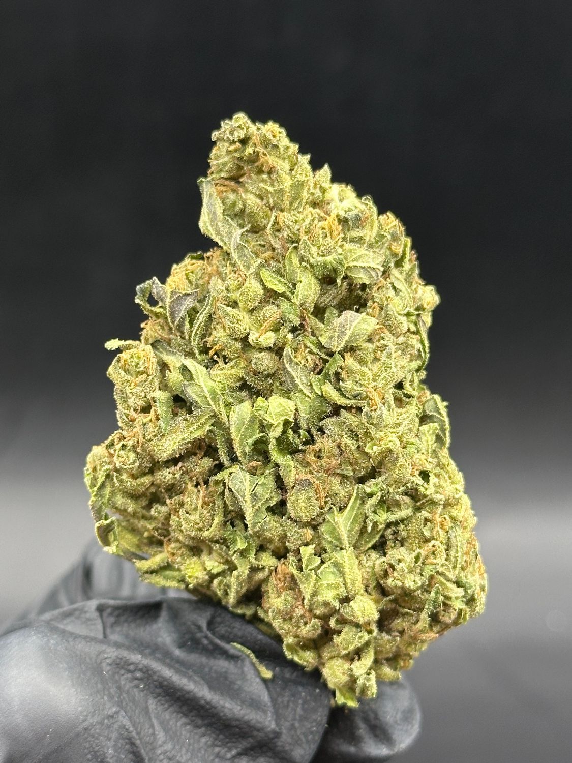 Lemon haze 40$/oz