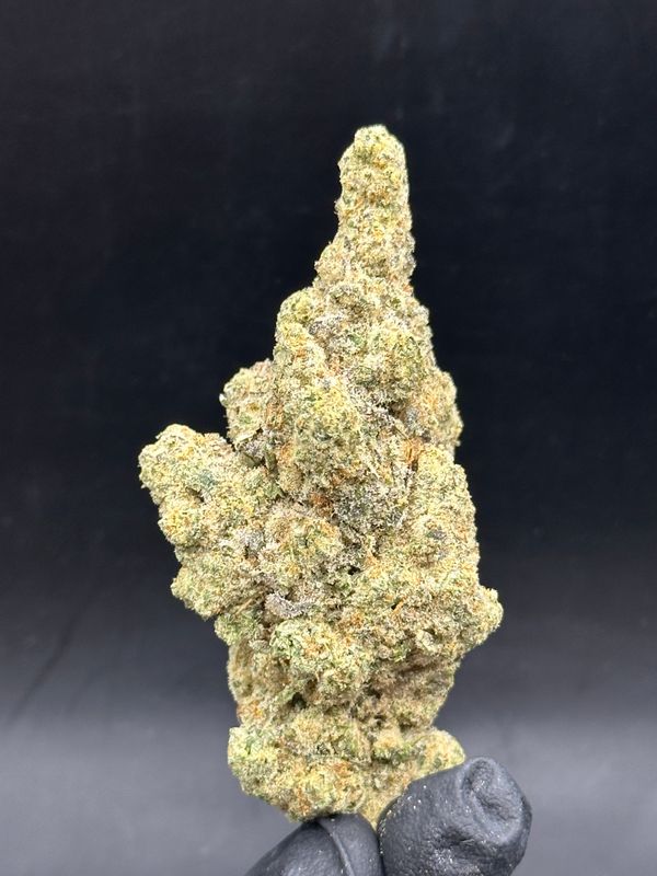 Cap junky 10$ 14g
