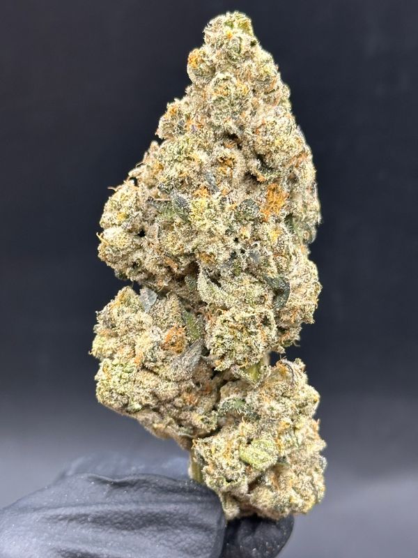 Scotty pippen 8$ 7g