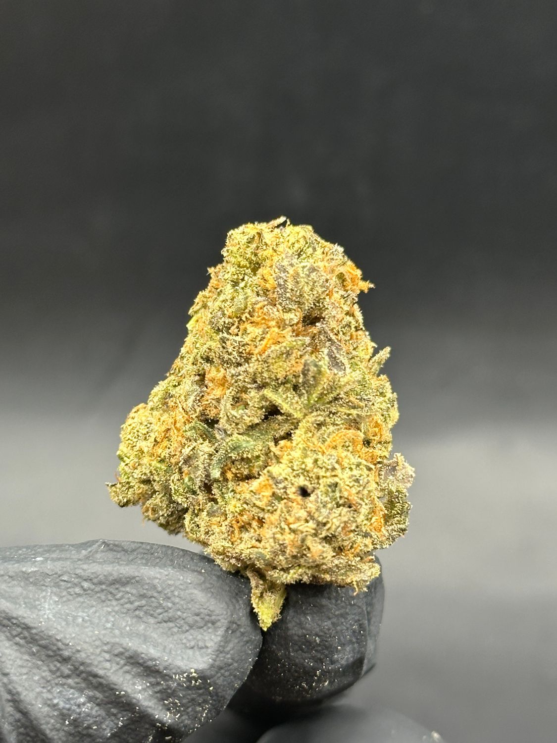 Blueberry muffin 5$ 1g